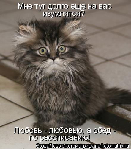 Мне тут долго ещё на вас изумлятся? Любовь - любовью, а обед - по рассписанию!... Котоматрица: Мне тут долго ещё на вас изумлятся? Любовь - любовью, а обед - по рассписанию!