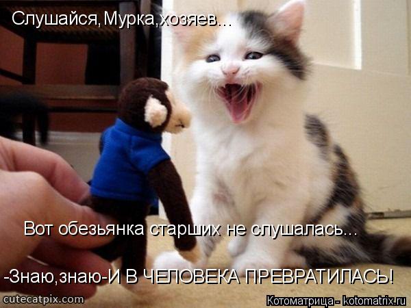 Котоматрица: Слушайся,Мурка,хозяев... Вот обезьянка старших не слушалась... -Знаю,знаю-И В ЧЕЛОВЕКА ПРЕВРАТИЛАСЬ!
