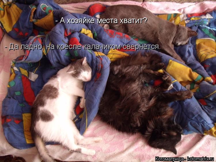 Котоматрица: - А хозяйке места хватит? -  - Да ладно, на кресле калачиком свернётся.
