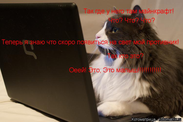Так где у него там майнкрафт! Что? Что? Что? Теперь я знаю что скоро появиться на свет мой противник!... Котоматрица: Так где у него там майнкрафт! Что? Что? Что? Теперь я знаю что скоро появиться на свет мой противник! Так кто это? Оеей! Это, Это малыш!!!!!!!!!!!!