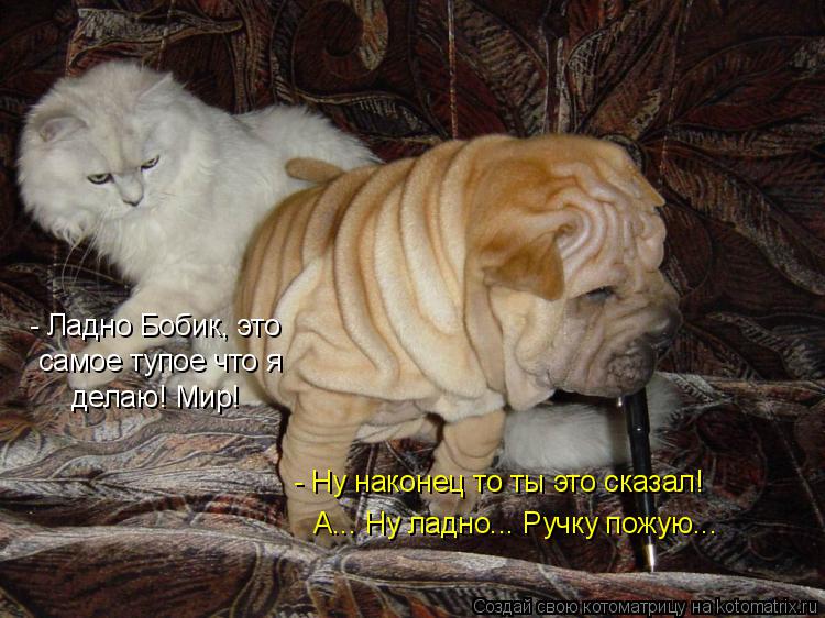 - Ладно Бобик, это самое тупое что я делаю! Мир! - Ну наконец то ты это сказал! А... Ну ладно... Руч... Котоматрица: - Ладно Бобик, это самое тупое что я делаю! Мир! - Ну наконец то ты это сказал! А... Ну ладно... Ручку пожую...