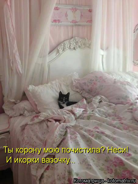 Котоматрица: Ты корону мою почистила? Неси!  И икорки вазочку...