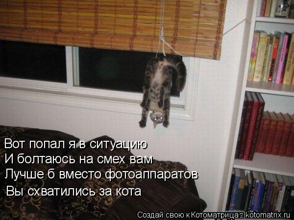 Вот попал я в ситуацию И болтаюсь на смех вам Лучше б вместо фотоаппаратов Вы схватились за кота... Котоматрица: Вот попал я в ситуацию И болтаюсь на смех вам Лучше б вместо фотоаппаратов Вы схватились за кота