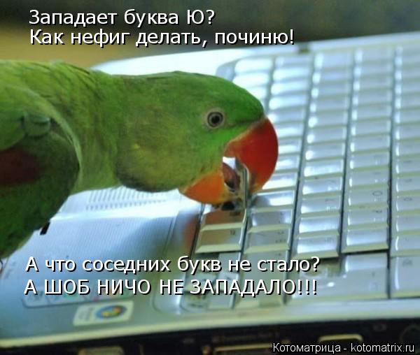 Западает буква Ю? Как нефиг делать, починю! А что соседних букв не стало? А ШОБ НИЧО НЕ ЗАПАДАЛО!!!... Котоматрица: Западает буква Ю? Как нефиг делать, починю! А что соседних букв не стало? А ШОБ НИЧО НЕ ЗАПАДАЛО!!!