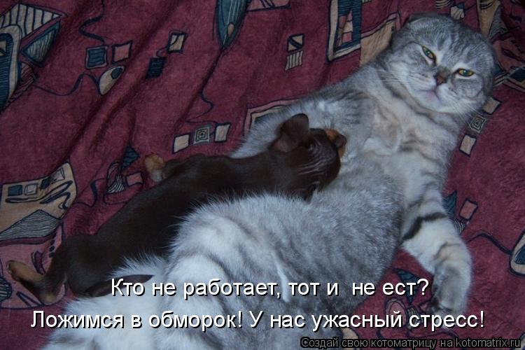Кто то работает а кто то стих Кто то работает а кто то стих