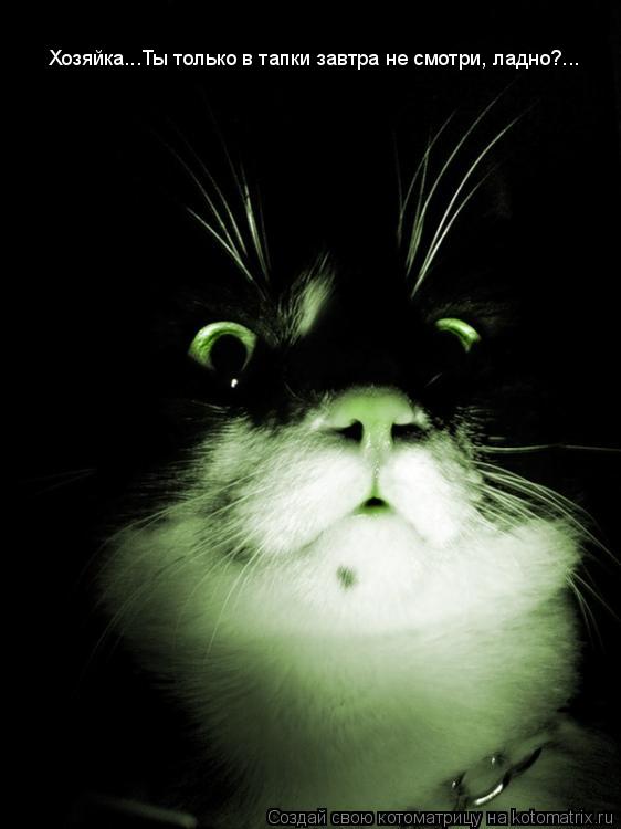 Хозяйка...Ты только в тапки завтра не смотри, ладно?...... Котоматрица: Хозяйка...Ты только в тапки завтра не смотри, ладно?...