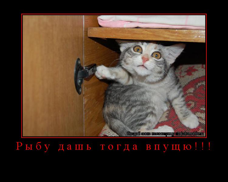 Котоматрица: Рыбу дашь тогда впущю!!! 