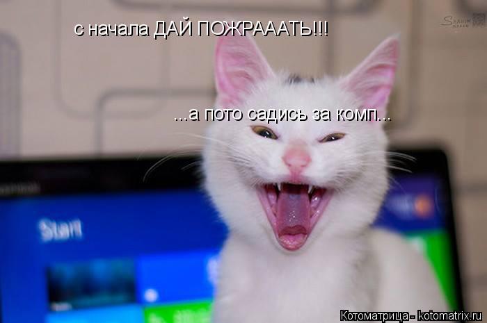 с начала ДАЙ ПОЖРАААТЬ!!! ...а пото садись за комп...... Котоматрица: с начала ДАЙ ПОЖРАААТЬ!!! ...а пото садись за комп...