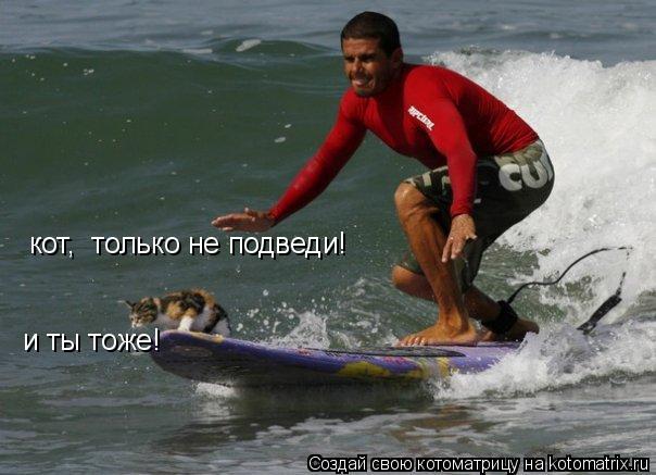 Котоматрица: кот,  только не подведи! и ты тоже!