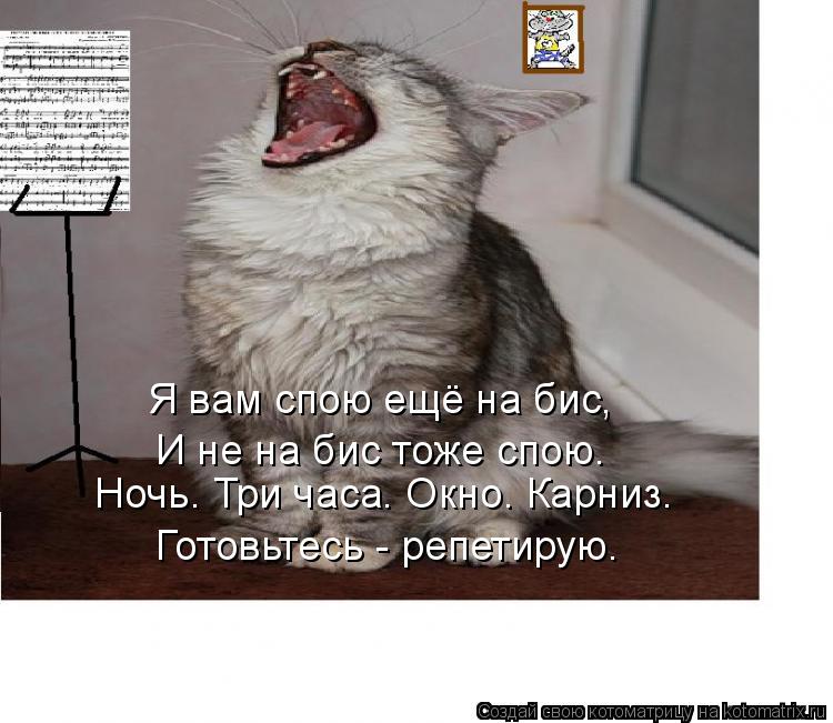 Котоматрица: Я вам спою ещё на бис, И не на бис тоже спою. Ночь. Три часа. Окно. Карниз. Готовьтесь - репетирую.