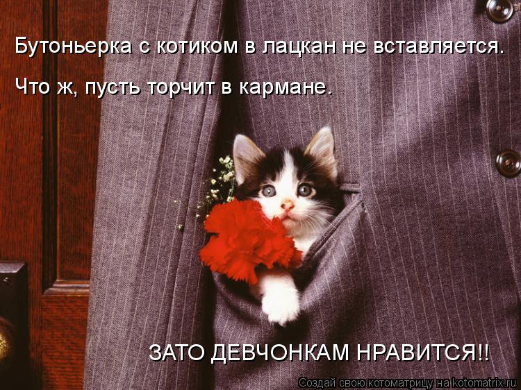 Бутоньерка с котиком в лацкан не вставляется. Что ж, пусть торчит в кармане. ЗАТО ДЕВЧОНКАМ НРАВИТСЯ!... Котоматрица: Бутоньерка с котиком в лацкан не вставляется. Что ж, пусть торчит в кармане. ЗАТО ДЕВЧОНКАМ НРАВИТСЯ!!