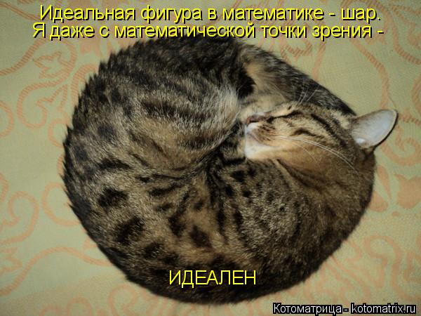 Идеальная фигура в математике - шар. Я даже с математической точки зрения - ИДЕАЛЕН... Котоматрица: Идеальная фигура в математике - шар. Я даже с математической точки зрения - ИДЕАЛЕН