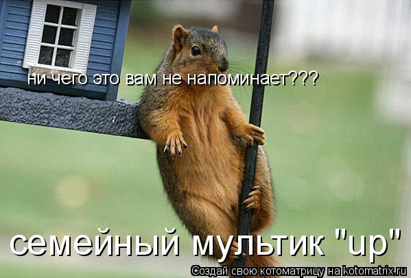 ни чего это вам не напоминает??? семейный мультик "up"... Котоматрица: ни чего это вам не напоминает??? семейный мультик "up"