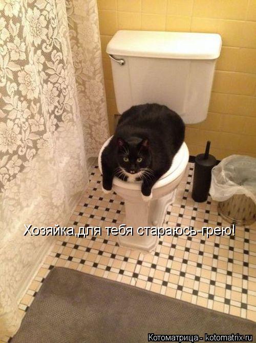 Хозяйка,для тебя стараюсь-грею!... Котоматрица: Хозяйка,для тебя стараюсь-грею!