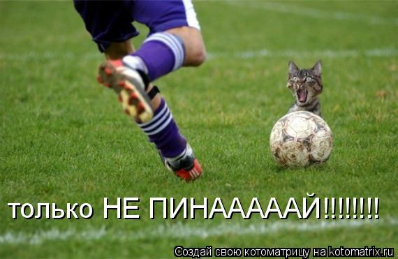 только НЕ ПИНАААААЙ!!!!!!!!... Котоматрица: только НЕ ПИНАААААЙ!!!!!!!!