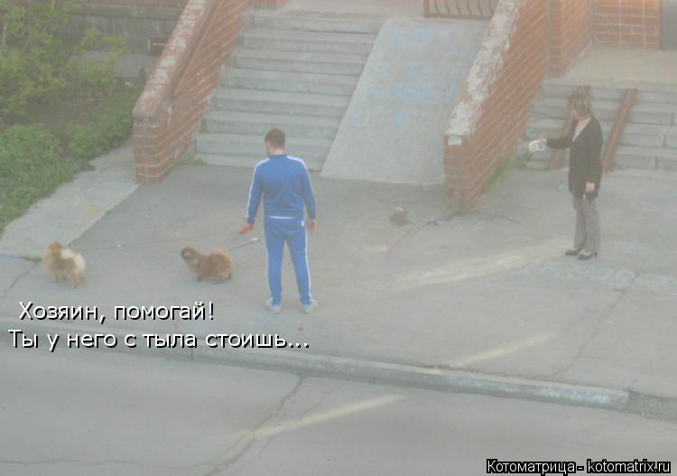 Хозяин, помогай! Ты у него с тыла стоишь...... Котоматрица: Хозяин, помогай! Ты у него с тыла стоишь...