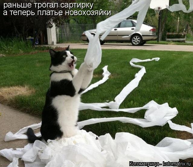 раньше трогал сартирку а теперь платье новохозяйки... Котоматрица: раньше трогал сартирку а теперь платье новохозяйки