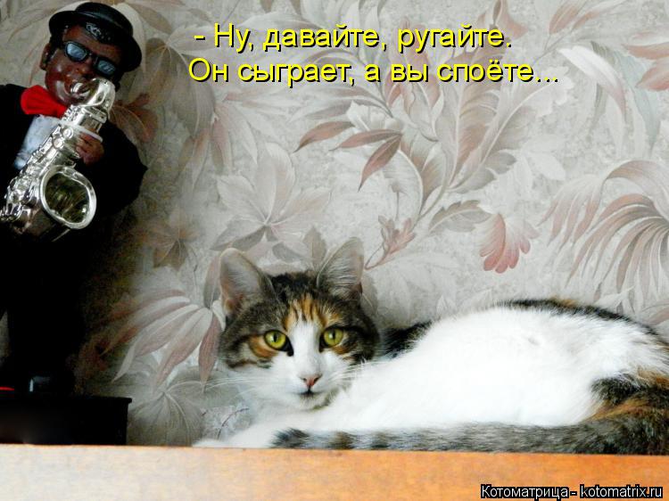 - Ну, давайте, ругайте. Он сыграет, а вы споёте...... Котоматрица: - Ну, давайте, ругайте. Он сыграет, а вы споёте...