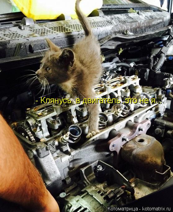- Клянусь, в двигатель ,это не я...... Котоматрица: - Клянусь, в двигатель ,это не я...