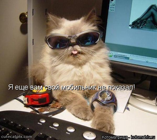 Котоматрица: Я еще вам свой мобильник не показал!