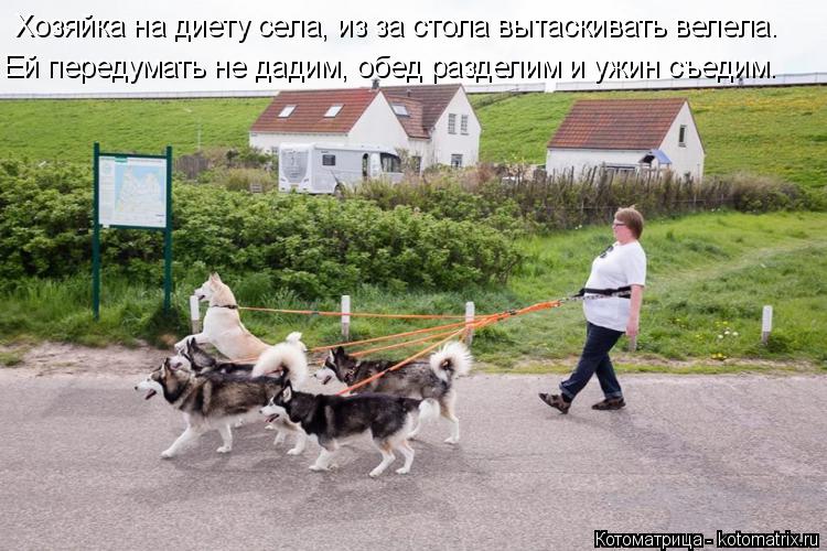 Хозяйка на диету села, из за стола вытаскивать велела. Ей передумать не дадим, обед разделим и ужин с... Котоматрица: Хозяйка на диету села, из за стола вытаскивать велела. Ей передумать не дадим, обед разделим и ужин съедим.