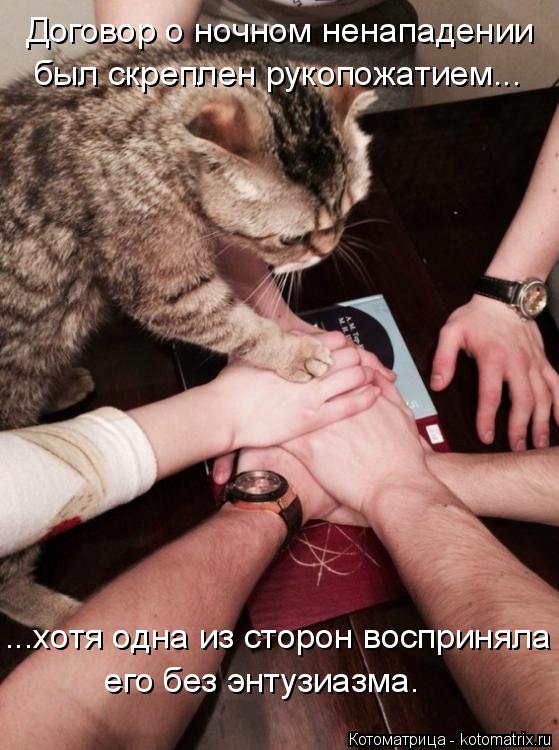 Договор о ночном ненападении был скреплен рукопожатием... ...хотя одна из сторон восприняла его без э... Котоматрица: Договор о ночном ненападении был скреплен рукопожатием... ...хотя одна из сторон восприняла его без энтузиазма.