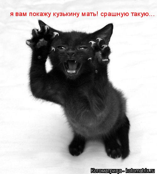 я вам покажу кузькину мать! срашную такую...... Котоматрица: я вам покажу кузькину мать! срашную такую...