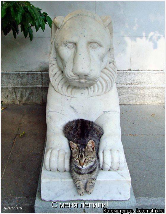 Котоматрица: С меня лепили!