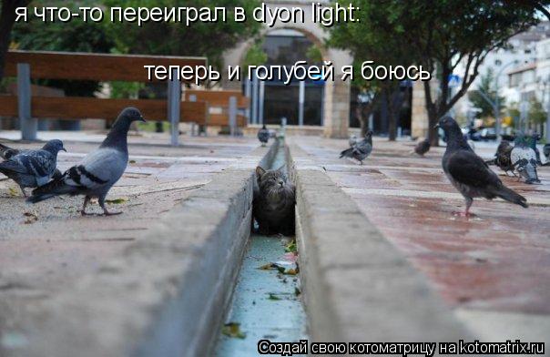 Котоматрица: я что-то переиграл в dyon light: теперь и голубей я боюсь