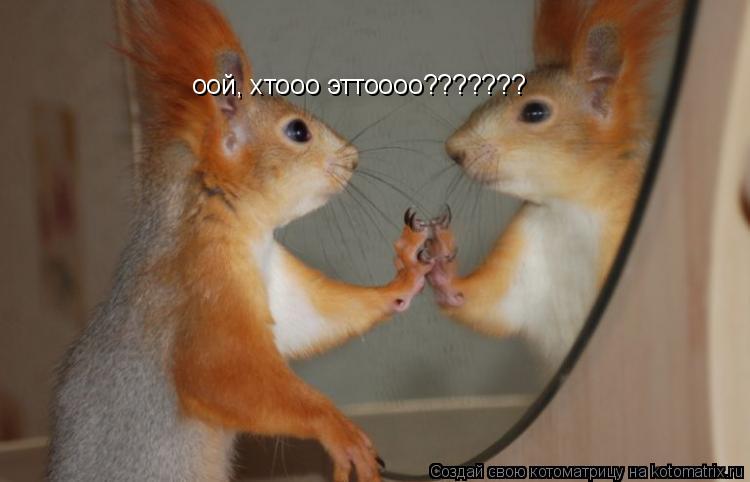 оой, хтооо эттоооо???????... Котоматрица: оой, хтооо эттоооо???????