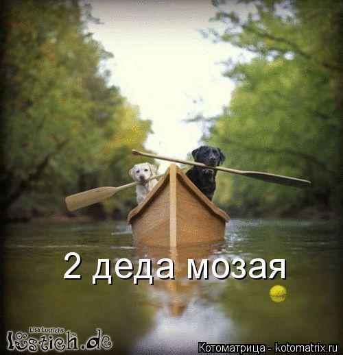 2 деда мозая... Котоматрица: 2 деда мозая