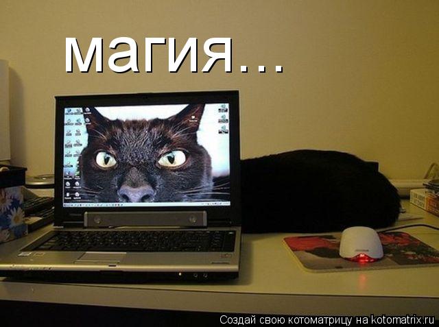Котоматрица: магия...