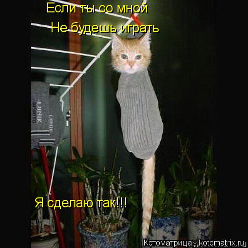 Котоматрица: Если ты со мной  Не будешь играть Я сделаю так!!! Я сделаю так!!!