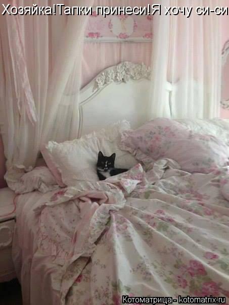 Хозяйка!Тапки принеси!Я хочу си-си!... Котоматрица: Хозяйка!Тапки принеси!Я хочу си-си!