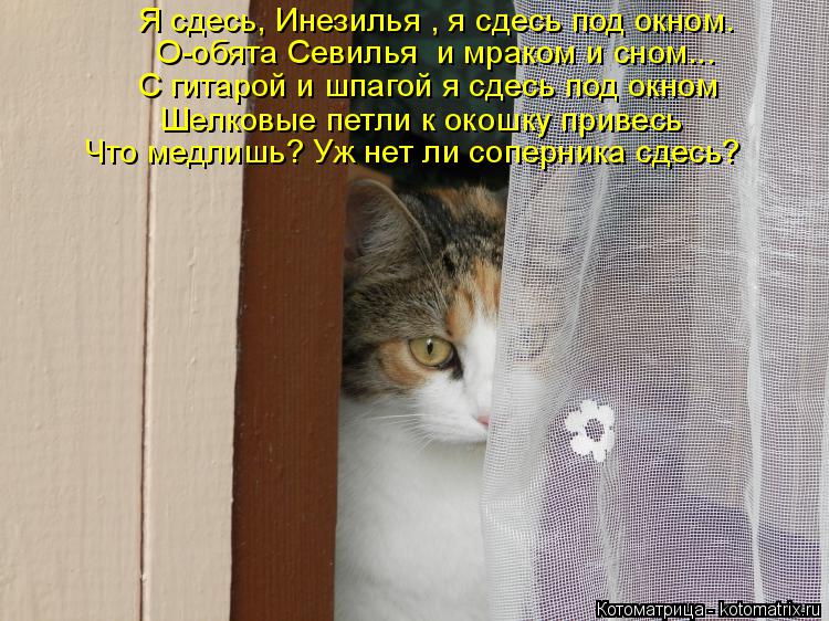 Я сдесь, Инезилья , я сдесь под окном. О-обята Севилья и мраком и сном... С гитарой и шпагой я сдесь... Котоматрица: Я сдесь, Инезилья , я сдесь под окном. О-обята Севилья и мраком и сном... С гитарой и шпагой я сдесь под окном Шелковые петли к окошку привесь Ч