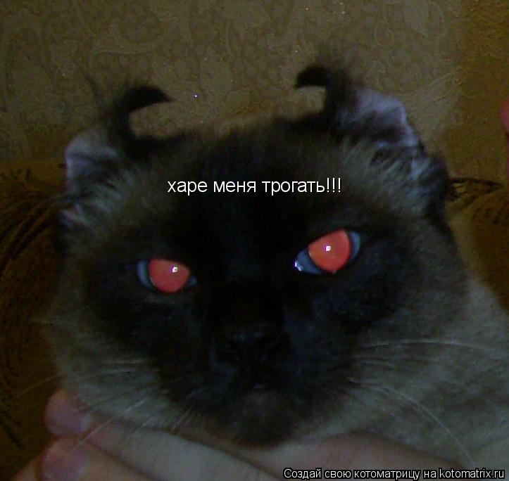 Котоматрица: харе меня трогать!!!