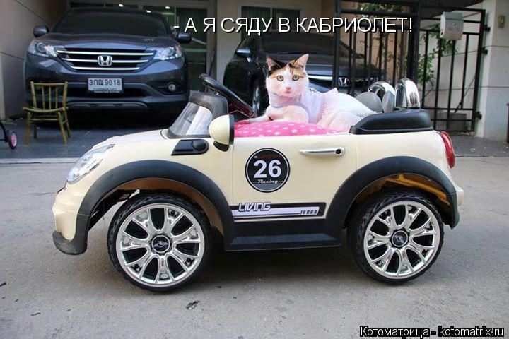 Котоматрица: - А Я СЯДУ В КАБРИОЛЕТ!  - А Я СЯДУ В КАБРИОЛЕТ!