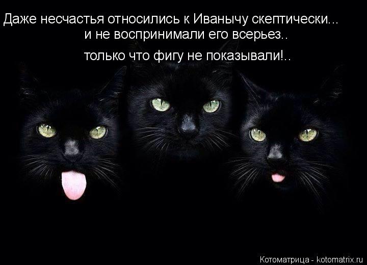 Даже несчастья относились к Иванычу скептически... и не воспринимали его всерьез.. только что фигу не... Котоматрица: Даже несчастья относились к Иванычу скептически... и не воспринимали его всерьез.. только что фигу не показывали!..