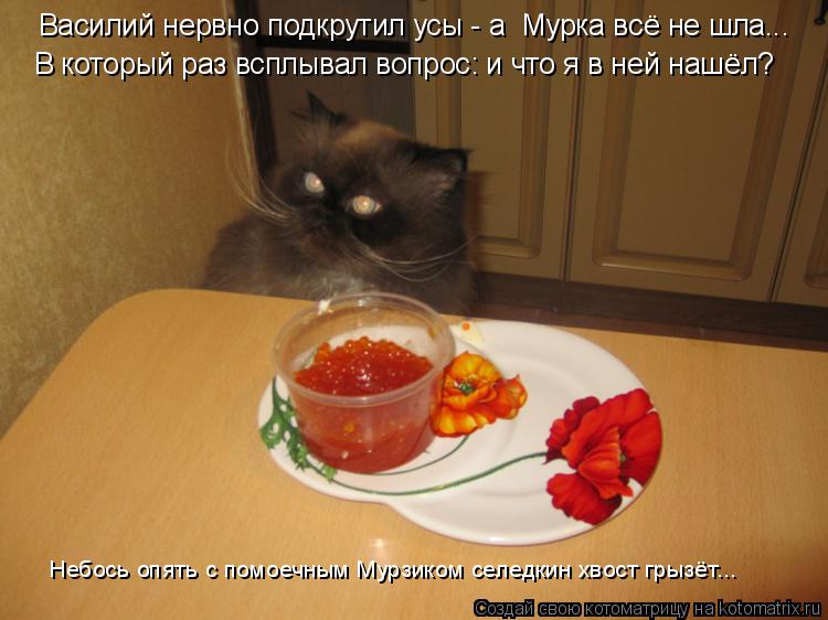 Котоматрица: Небось опять с помоечным Мурзиком селедкин хвост грызёт... Василий нервно подкрутил усы - а  Мурка всё не шла... В который раз всплывал вопрос: