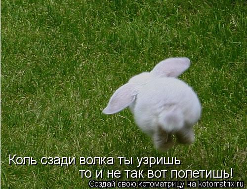 Котоматрица: Коль сзади волка ты узришь то и не так вот полетишь!