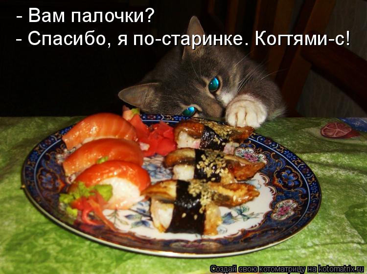 - Спасибо, я по-старинке. Когтями-с! - Вам палочки?... Котоматрица: - Спасибо, я по-старинке. Когтями-с! - Вам палочки?