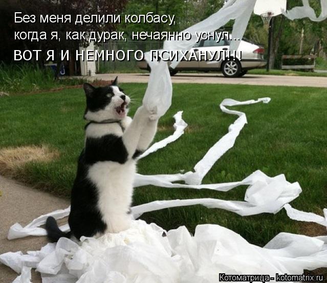 Котоматрица: Без меня делили колбасу,  когда я, как дурак, нечаянно уснул... ВОТ Я И НЕМНОГО ПСИХАНУЛ!!!