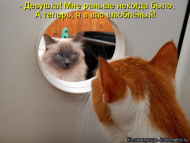 Котоматрица: - Девушка! Мне раньше некогда было, А теперь, я в вас влюблёный!