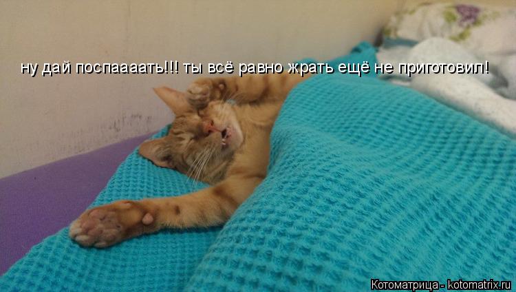 Котоматрица: ну дай поспаааать!!! ты всё равно жрать ещё не приготовил!