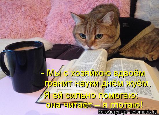 - Мы с хозяйкою вдвоём гранит науки днём жуём. Я ей сильно помогаю: она читает – я глотаю!... Котоматрица: - Мы с хозяйкою вдвоём гранит науки днём жуём. Я ей сильно помогаю: она читает – я глотаю!