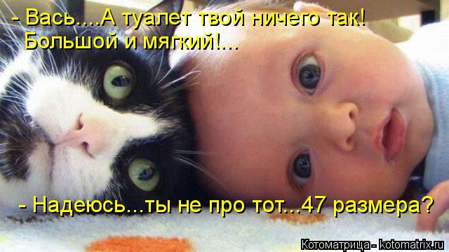 Котоматрица: - Вась....А туалет твой ничего так! Большой и мягкий!... - Надеюсь...ты не про тот...47 размера?