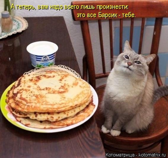 Котоматрица: А теперь, вам надо всего лишь произнести:  это все Барсик - тебе.
