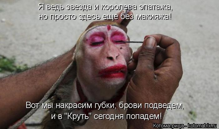 Котоматрица: и в "Круть" сегодня попадем!  Я ведь звезда и королева эпатажа, но просто здесь еще без макияжа! Вот мы накрасим губки, брови подведем,