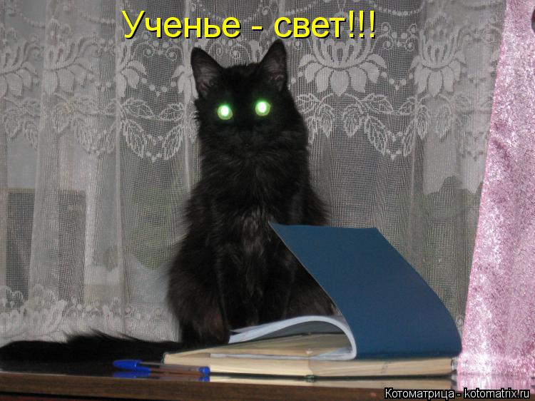 Котоматрица: Ученье - свет!!!
