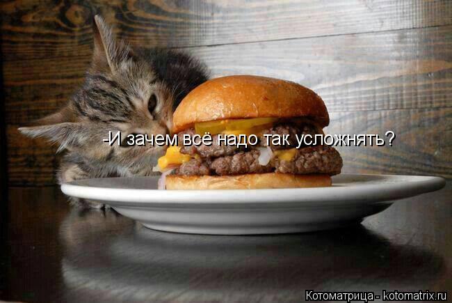 Котоматрица: -И зачем всё надо так усложнять?